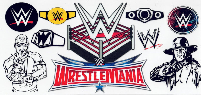 #290 WWE 10oz To20oz