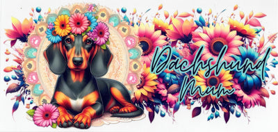 #292 Dash Hound Mum 10oz To20oz