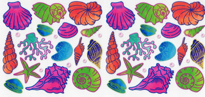 #168 Shells 10oz to 20oz