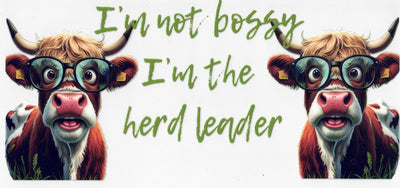 #133 I'm Not Bossy, I'm The Herd Leader 10oz to 20oz