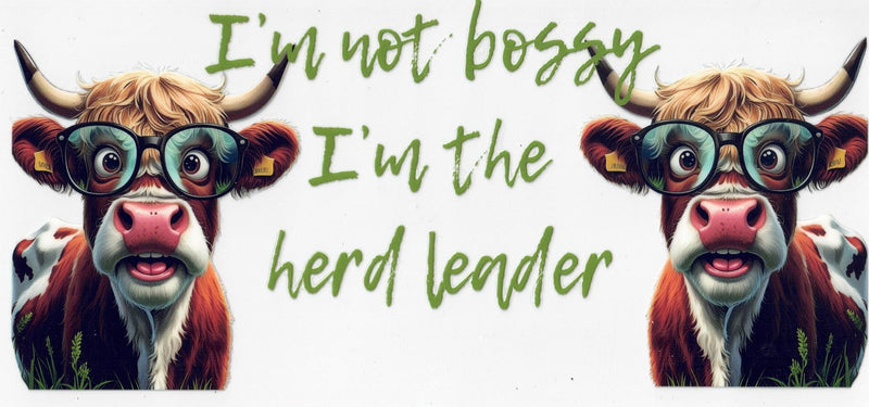 #133 I'm Not Bossy, I'm The Herd Leader 10oz to 20oz