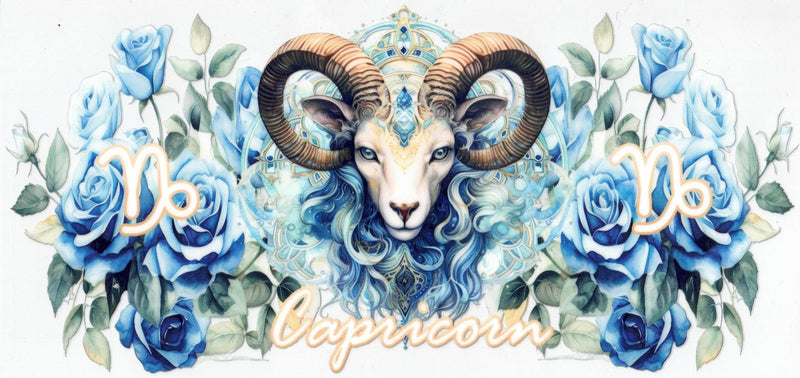 #250 Capricorn 10oz-20oz