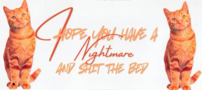 #138 Hope You Have A Nighmare And S**t The Bed 10oz to 20oz