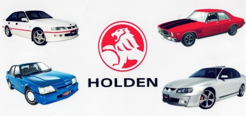 #87 Holden 10oz to 20oz