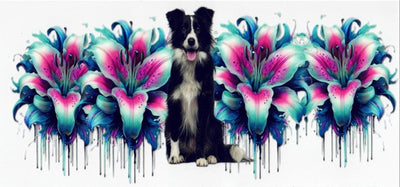 #8 Border Collie 10oz to 20oz