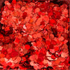 Chunky Ruby Red - Image 1